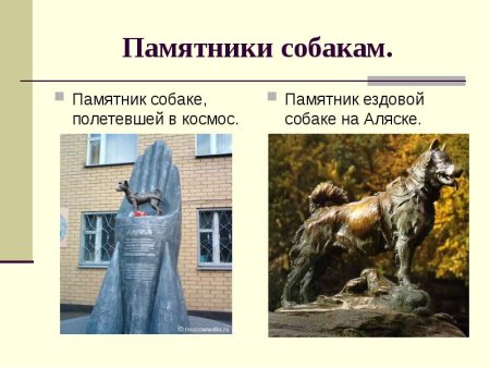 Памятники животных презентация