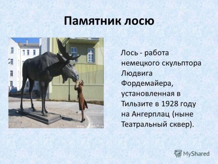 Памятники животным с описанием