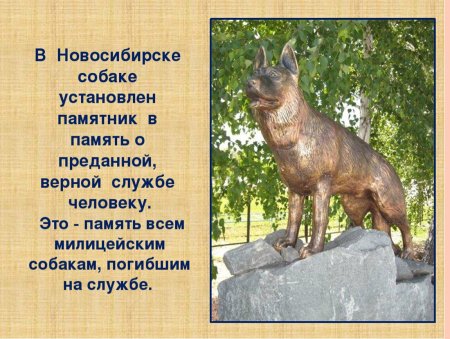 Памятник бездомной собаке в Тюмени