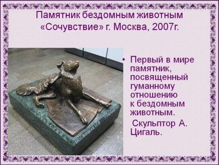 Памятник Хатико в России