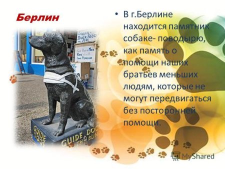 Доклад про памятник собаке