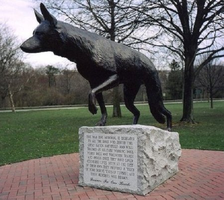 Памятник собаке в Тольятти