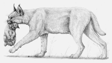 Животные карандашом сложные