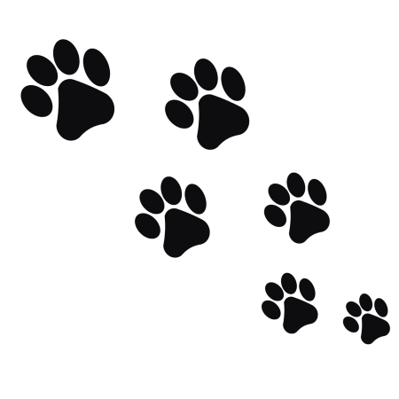 Кошачьи следы