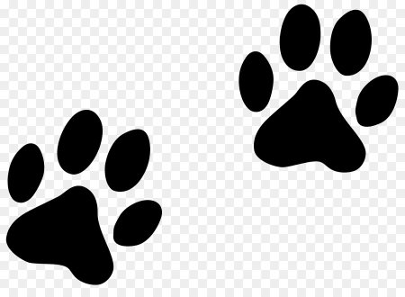 Отпечаток лапы собаки