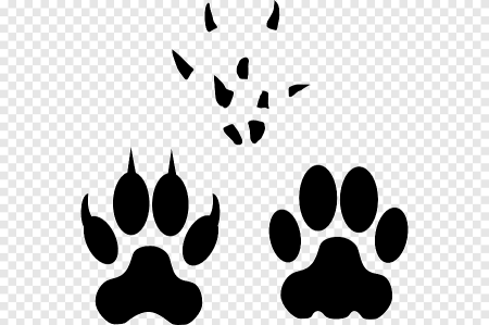 Отпечаток лапы животного