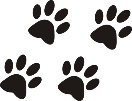 Отпечаток лапки собачки