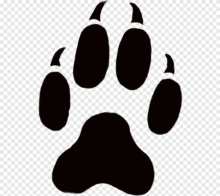 Отпечаток лапы собаки