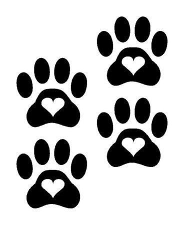 Лапки животных