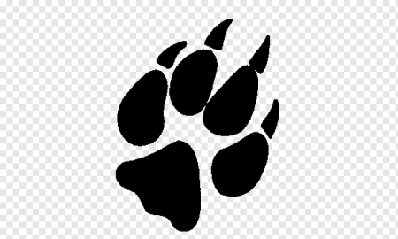 Отпечаток лапки кота