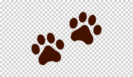 Лапа гепарда отпечаток