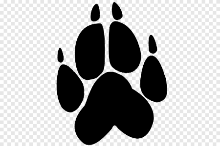 Кошачьи следы