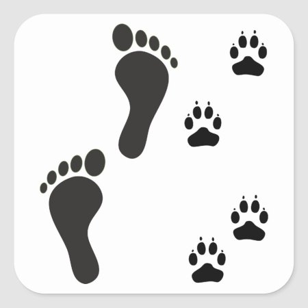 Следы животных