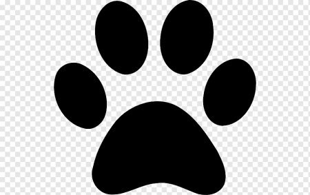 Следы животных