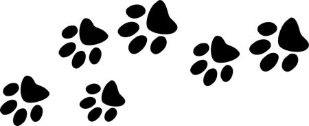 Отпечаток лапы