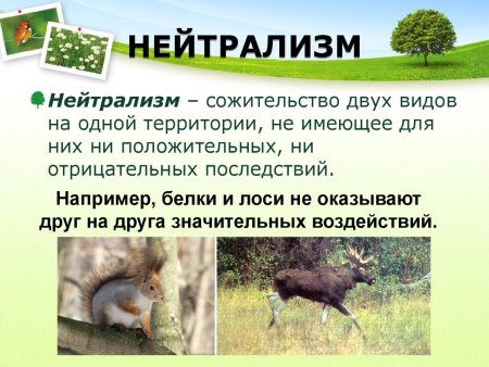Биотические факторы нейтрализм