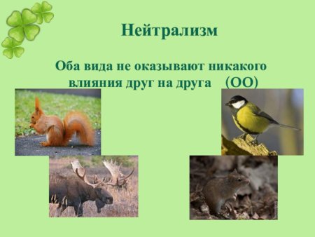 Нейтрализм примеры животных