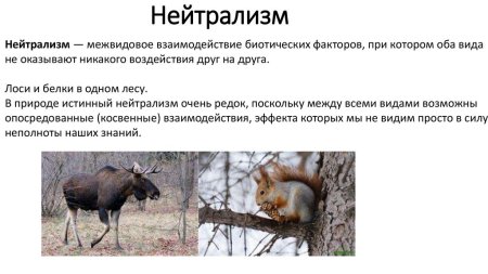 Межвидовая конкуренция зайцы волки лисы