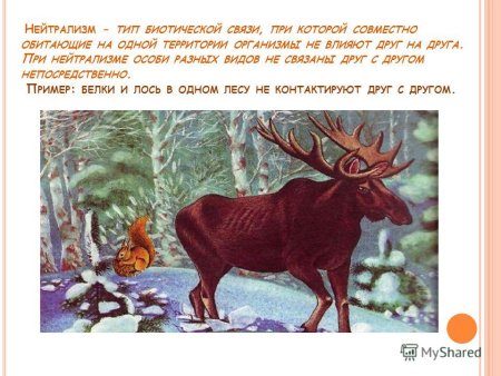 Ребенок обнимает собаку