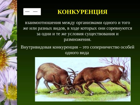 Типы взаимоотношений организмов схема