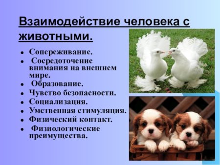 Биотические взаимоотношения между организмами