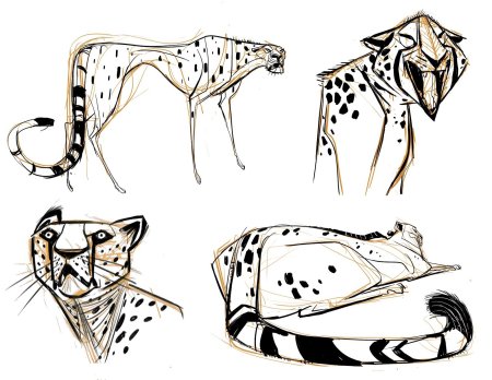 Стилизация животных