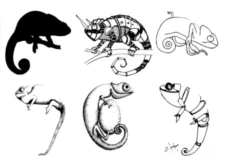 Этапы стилизации животных