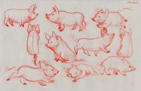 Поросенок референс