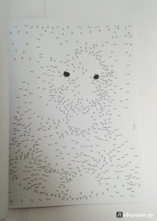 Рисование по точкам в блокноте