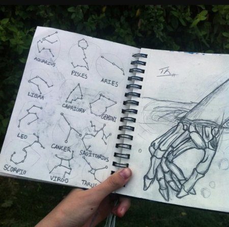 Животные по точкам для детей