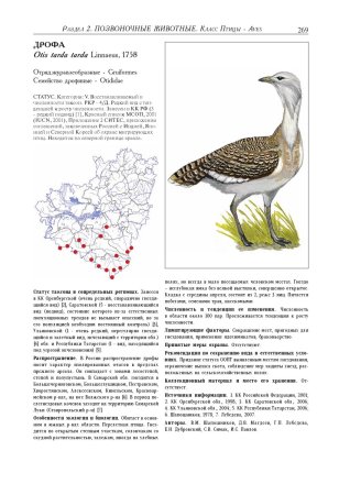 Птицы Самарской области занесенные в красную книгу