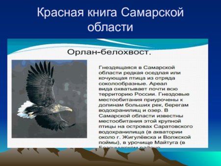 Животные из красной книги Самарской области