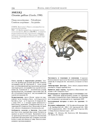 Животные и птицы Самарской области занесенные в красную книгу
