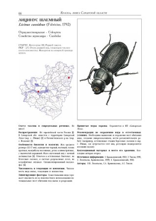 Животные которые занесены в красную книгу Самарской области