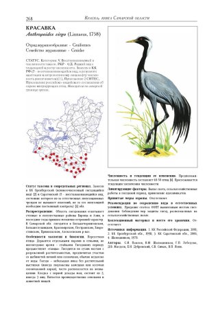 Насекомые красной книги Самарской области