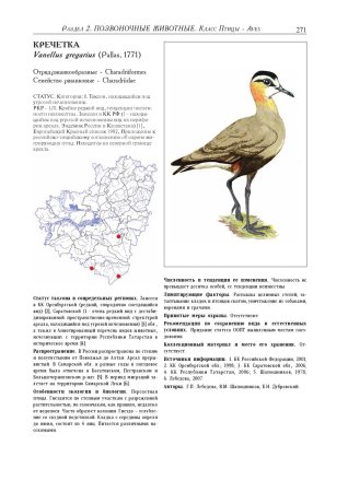 Красная книга Самарской области бабочки