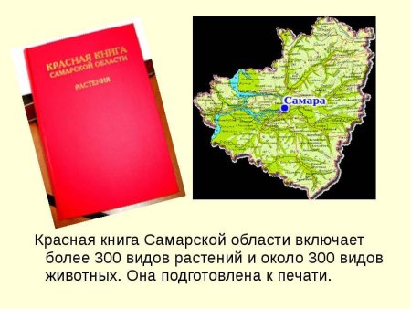 Животное из красной книги Самарской области