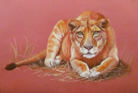 Животные пастелью