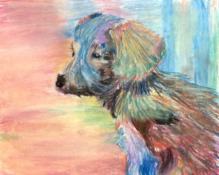 Рисование животных пастелью