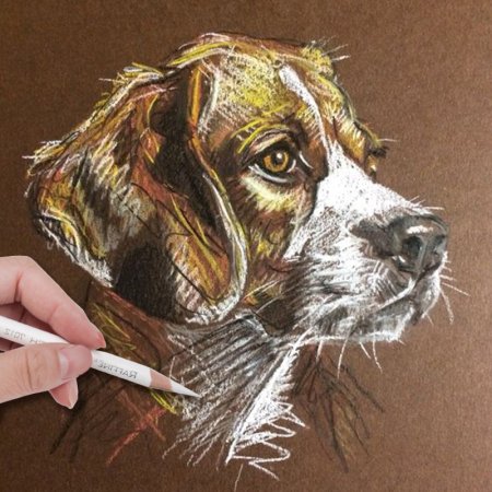 Животные масляной пастелью