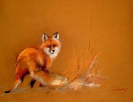 Tarcsay Bela картины