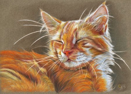 Кошка в постели