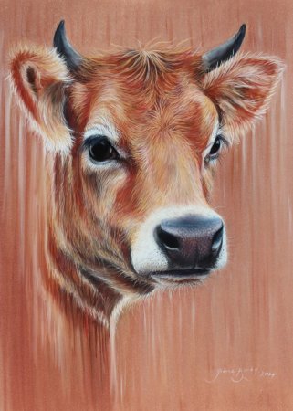 Корова цветными карандашами