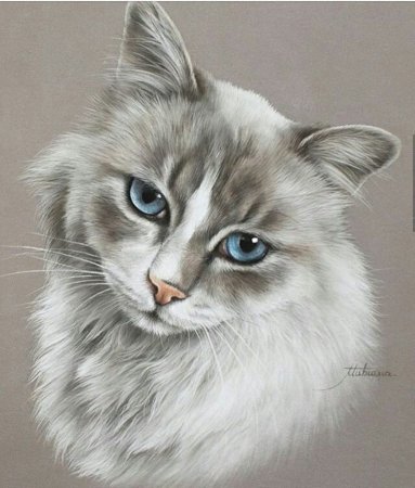 Художник Marion Tubiana