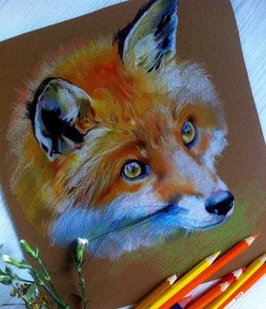 Животные пастелью