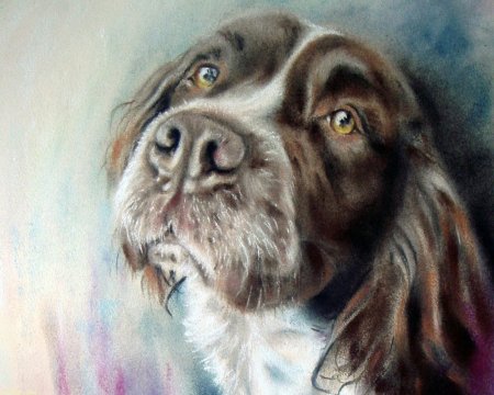 Paul Knight художник