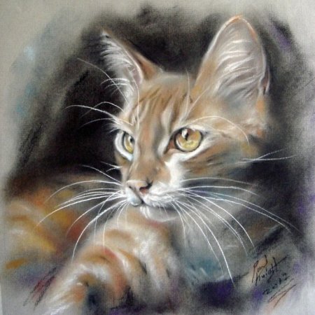 Пол Найт художник коты пастелью