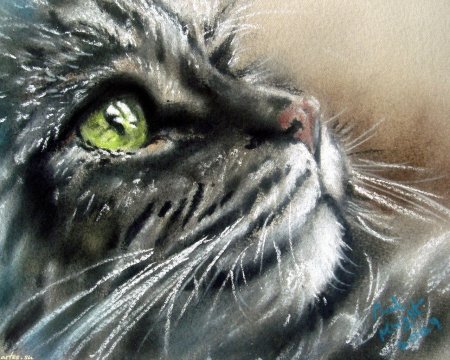 Кот пастелью сухой