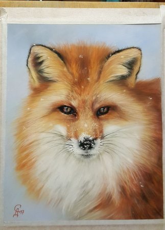 Животные сухой пастелью