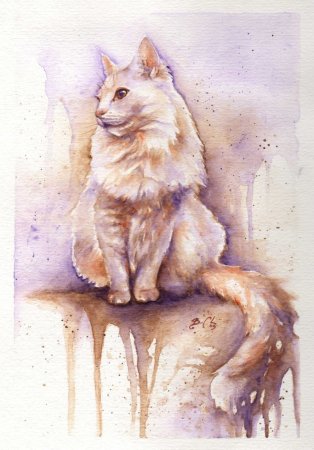 Кошки в искусстве. Braden Duncan.
